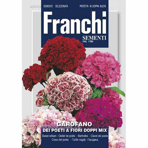 1 szt, Kerti szegfű dupla virággal, mix - Magok: Mod de ambalare: 1 db
