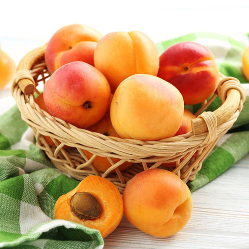 1 db, Sárgabarack Bebeco - Palánták: Mod de ambalare: 1 db