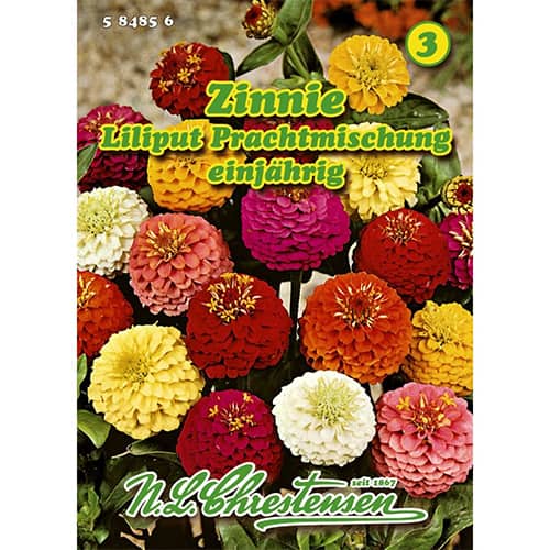 1 szt, Zinnie Liliput Prachtmischung - Samen: Ilość w opakowaniu: 1 Stück