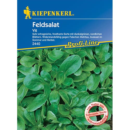 1 szt, Feldsalat Vit - Samen: Ilość w opakowaniu: 1 Stück