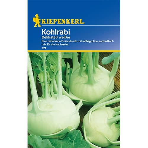 1 szt, Kohlrabi Delikateß weißer - Samen: Ilość w opakowaniu: 1 Stück