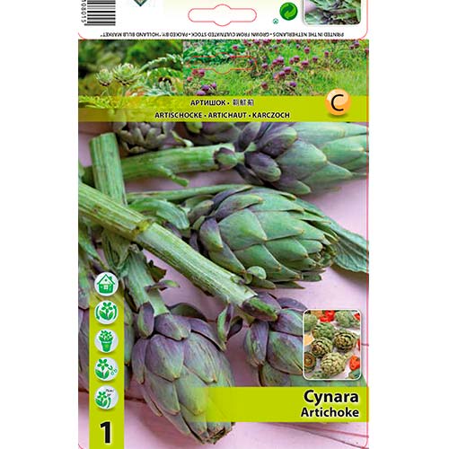 1 szt, Artischock - Samen: Ilość w opakowaniu: 1 Stück