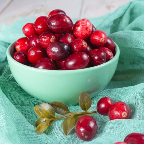 Arando de frutos grandes Piligrim - Plântulas: Ilość w opakowaniu: 1 plant