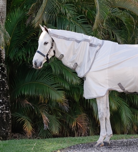 Horseware Horseware derka siatkowa Amigo Integrated 24h