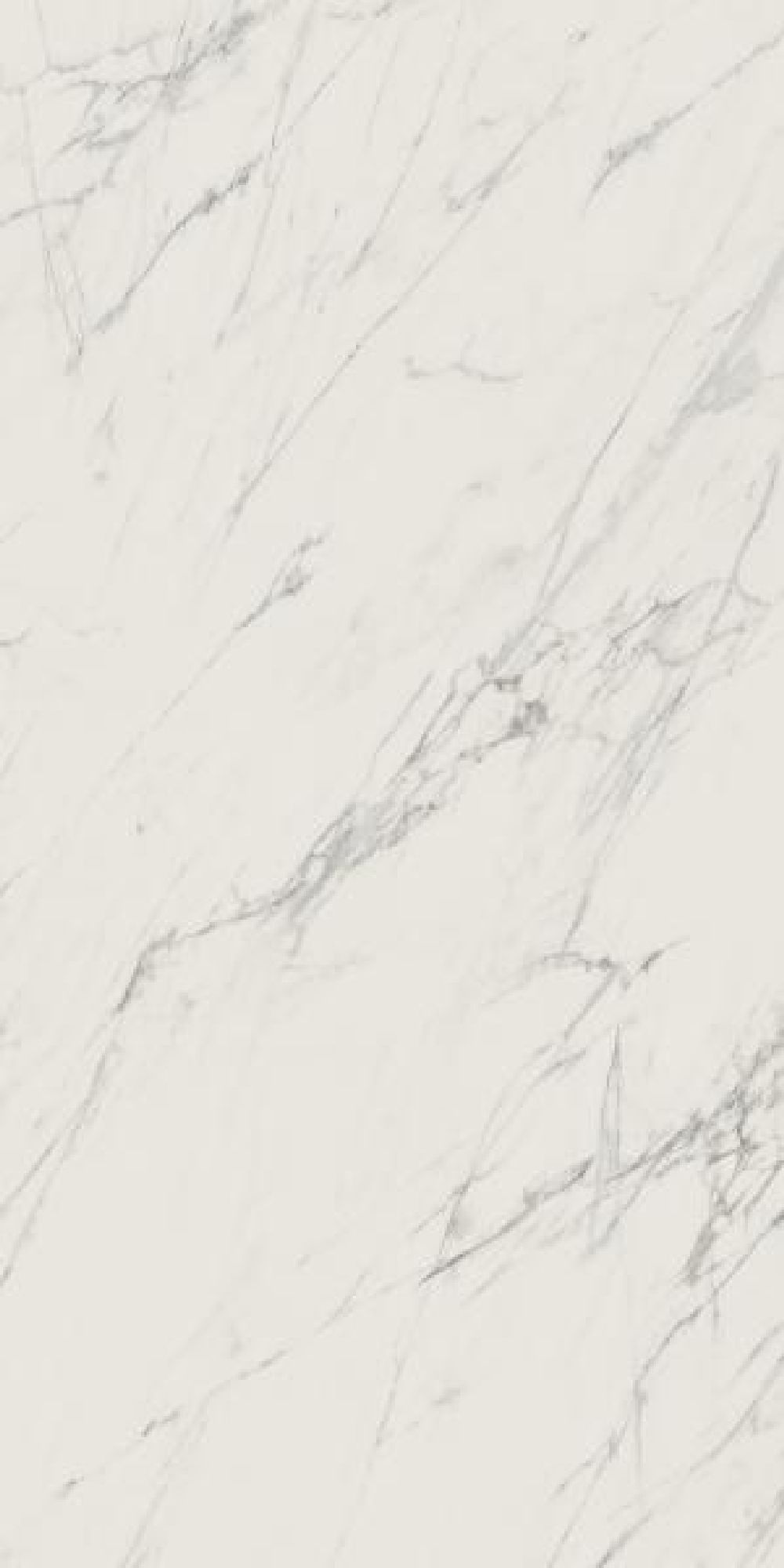 Paradyż Elite płytka ścienno-podłogowa 119,8x59,8 cm biała