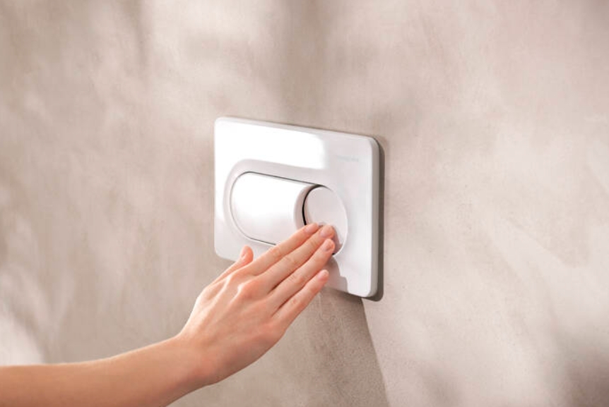 Hansgrohe iFrame Original S przycisk spłukujący do WC biały 66002450 - Wysyłka w 24h