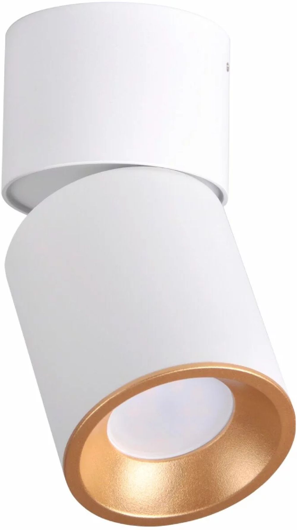 Goldlux Nixa lampa podsufitowa 1x10 W biała 314260