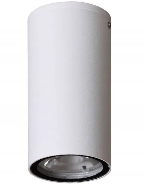 Italux Fano lampa podsufitowa zewnętrzna 1x3 W biały piaskowany OPN-2002-3K