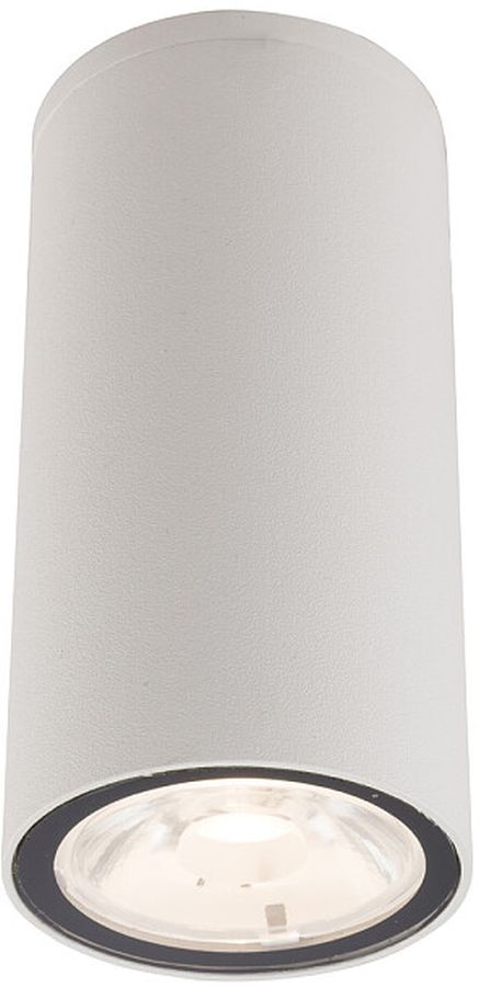 Nowodvorski Lighting Edesa lampa podsufitowa 1x3W LED biała 9111