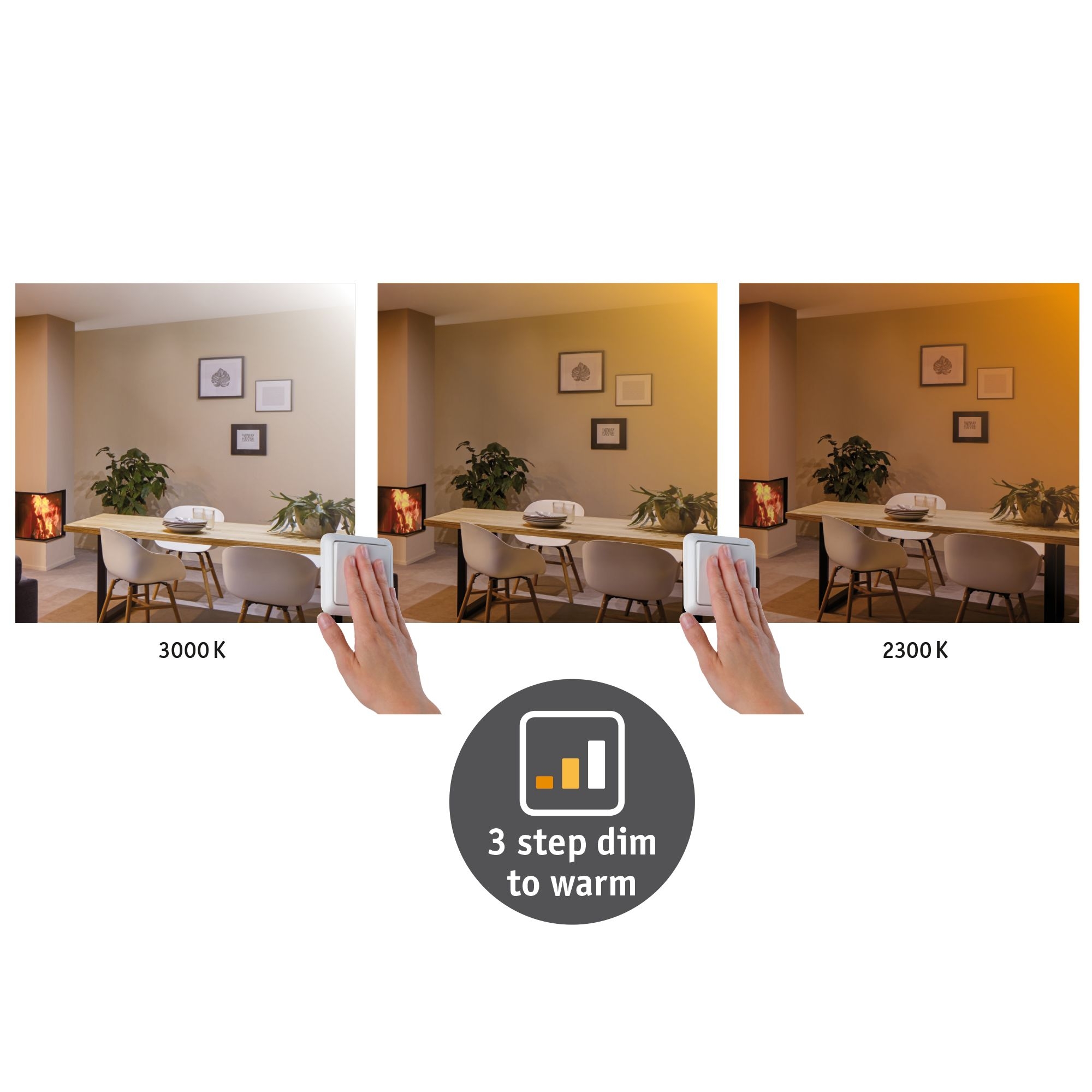 Paulmann Carpo plafon 1x16 W chrom 79798 - Wysyłka w 24h