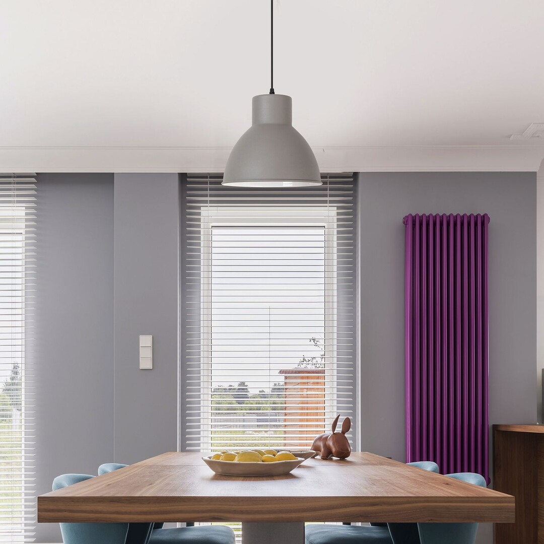 Rabalux Derek lampa wisząca 1x60 W srebrna 2579