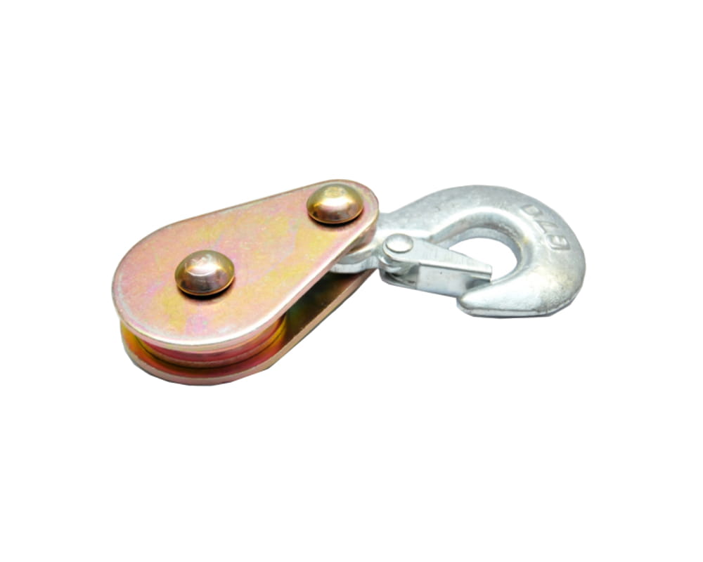 Zblocze z hakiem 2000 kg Dragon Winch