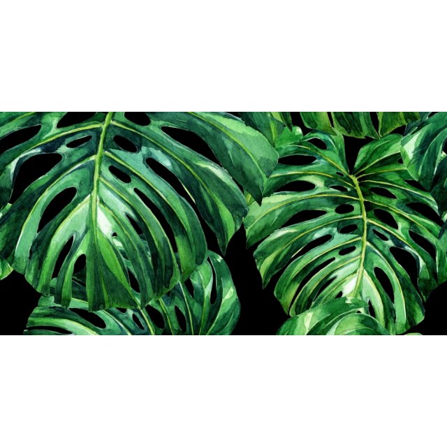 Płytka ścienna dekoracyjna Alfa-Cer MONSTERA BLACK DEC. B glossy 29,8