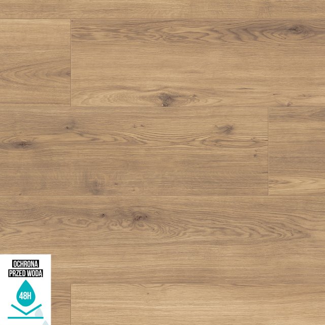 Panele podłogowe KRONOSTEP WILD SARGUS 2734 AC5 8 mm