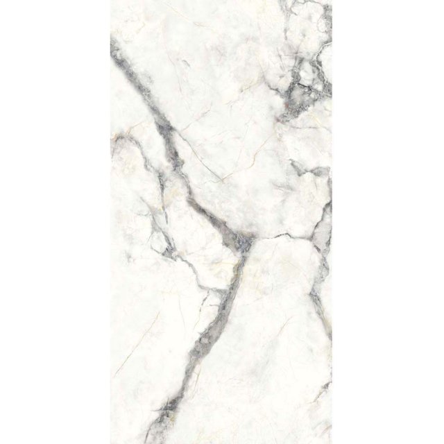 Gres szkliwiony włoski Dado Ceramica CHARME INVISIBLE GREY mat 60x120