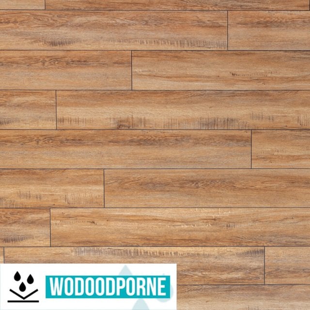 Panele winylowe SPC BESTLAMINATE ADDURI DĄB ZŁOTY KL 23-33 5 mm