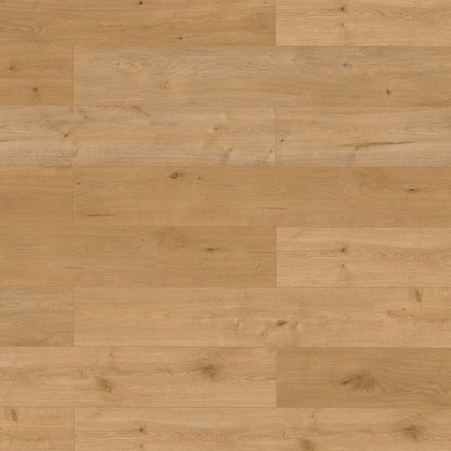 Panele podłogowe CLASSEN SATURN 54346 DĄB IMPERIAL AC5 8 mm