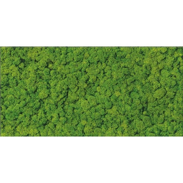Płytka ścienna inserto FRESH MOSS green 29,8x59,8 gat. I