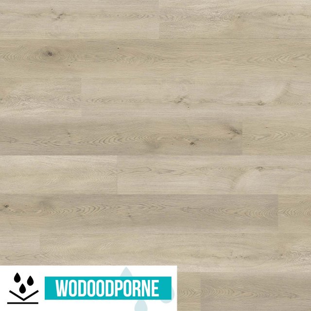 Panele winylowe SPC WILD WOOD WW DĄB SKANDYNAWSKI KL 23-34 6 mm