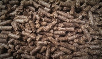 Rübenschnitzel, melassefrei, granuliert, 24 T BULK