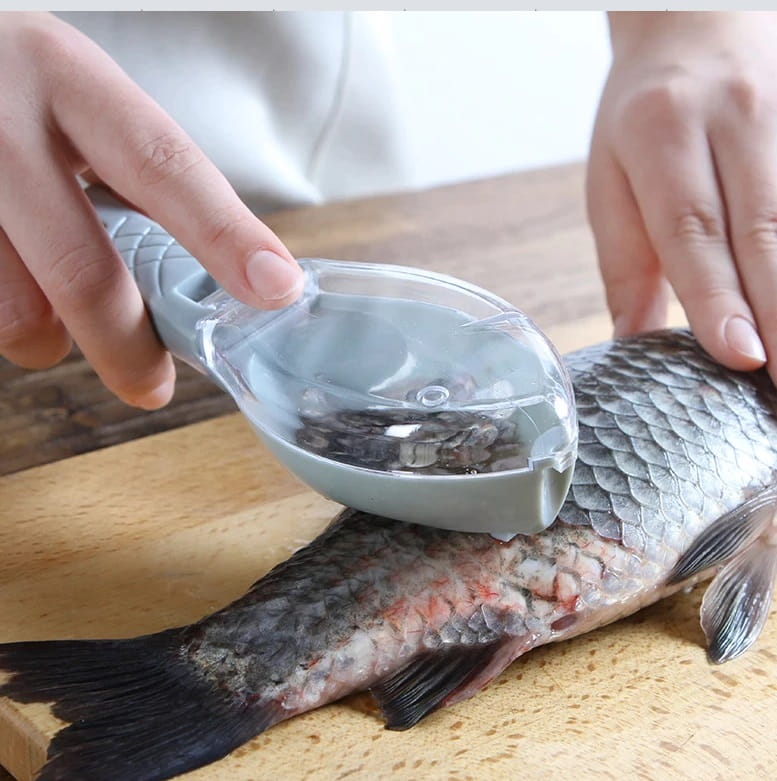 Szczotka do Rybich łusek