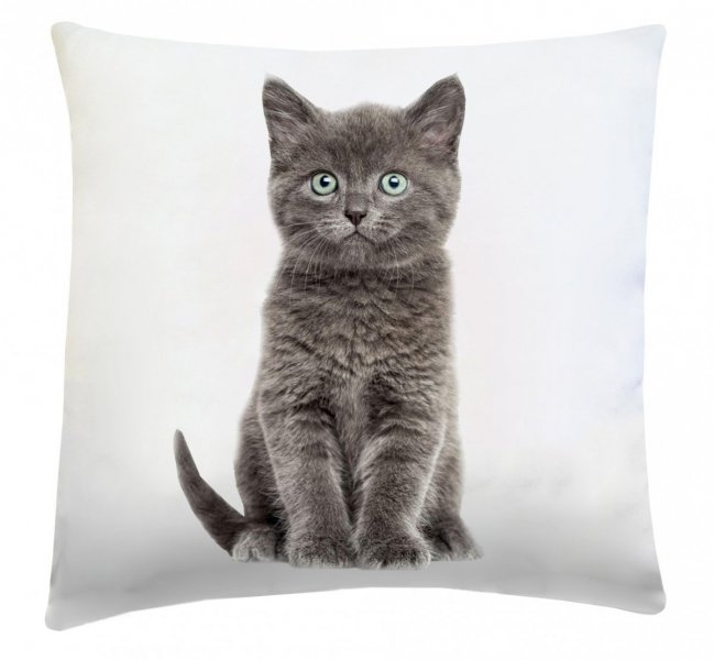 Poduszka dekoracyjna 40x40 wz. Kot2