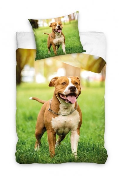 Pościel młodzieżowa 100% bawełna 160x200 - Pies - NL224076