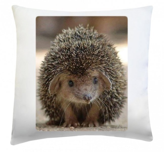 Poduszka z motywem jesiennym 40x40 wz. 5