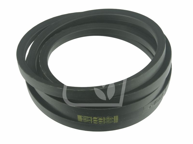 Pas 2 szt 554365 17 x 3170