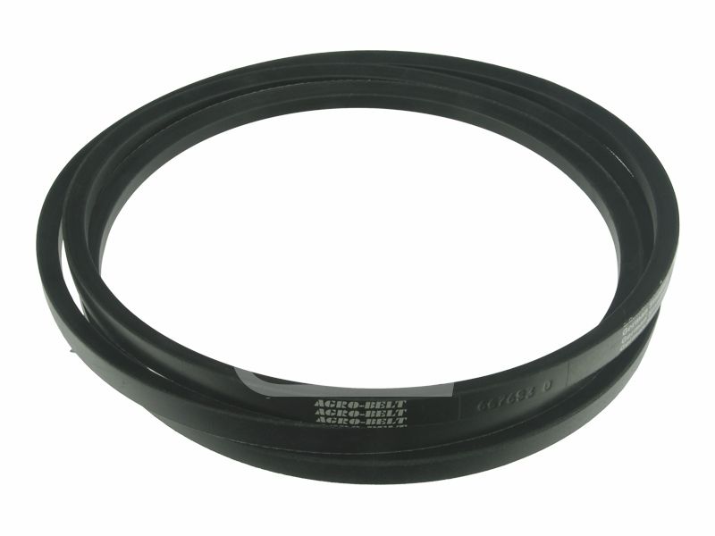Pas 667683 Claas 22 x 3860 Agro-Belt