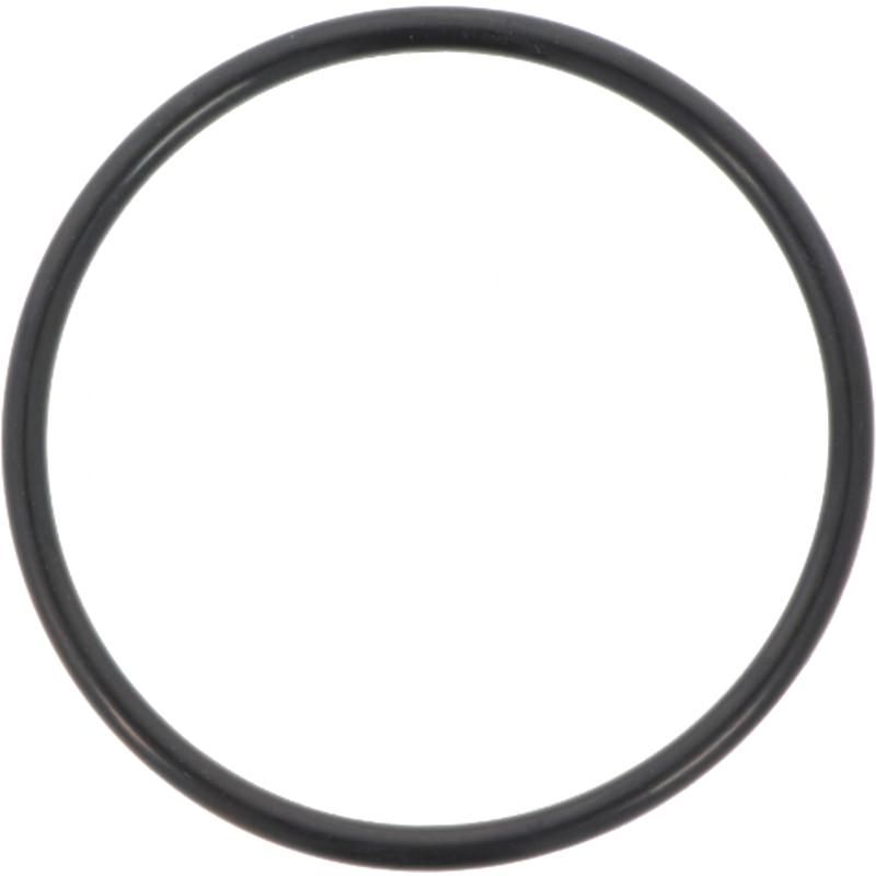 Pierścień uszczelniający CASE New Holland 98.59 x 88.27 x 5.16 504062856 CNH