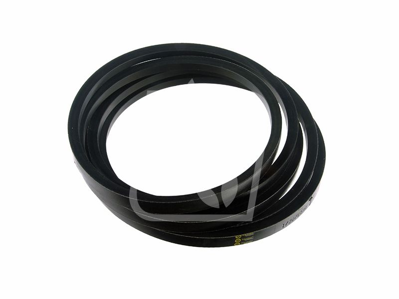 Pas 1730781M1 0302393