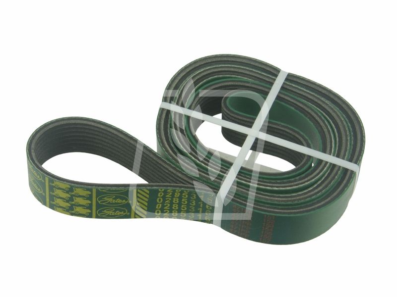 Pas wielorowkowy 0285316