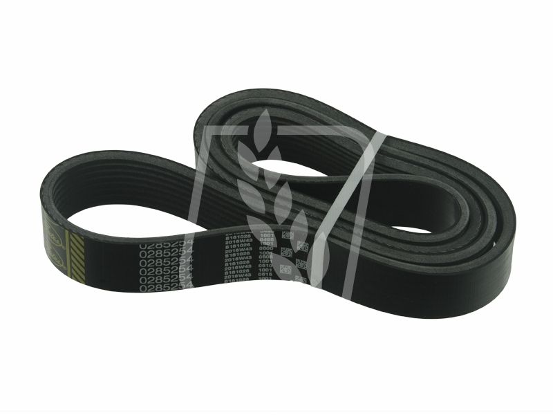 Pas wielorowkowy R124785