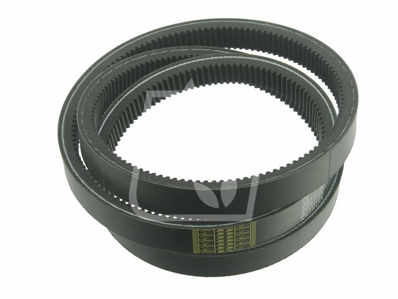 Pas wariatorowy D41980200 Massey Ferguson 0810190