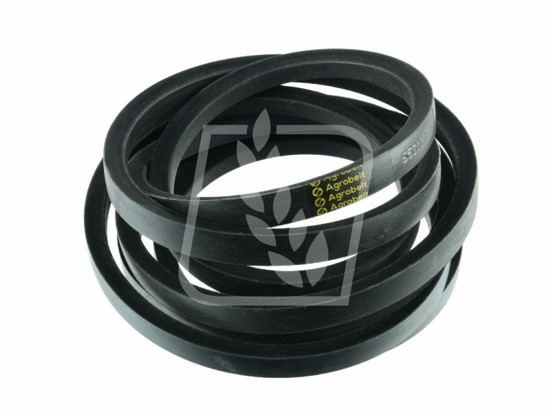 Pas 653120 Claas 25 x 5700 Agrobelt