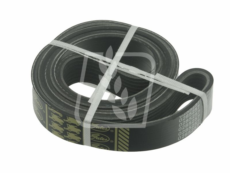 Pas wielorowkowy R133693 0285257