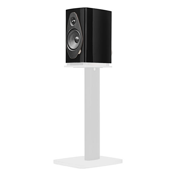 Kolumna sonus faber sonetto ii g2