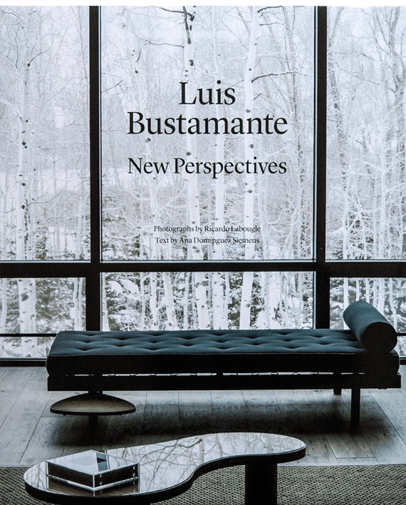 Luis Bustamante. New Perspectives