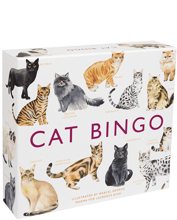 Cat Bingo