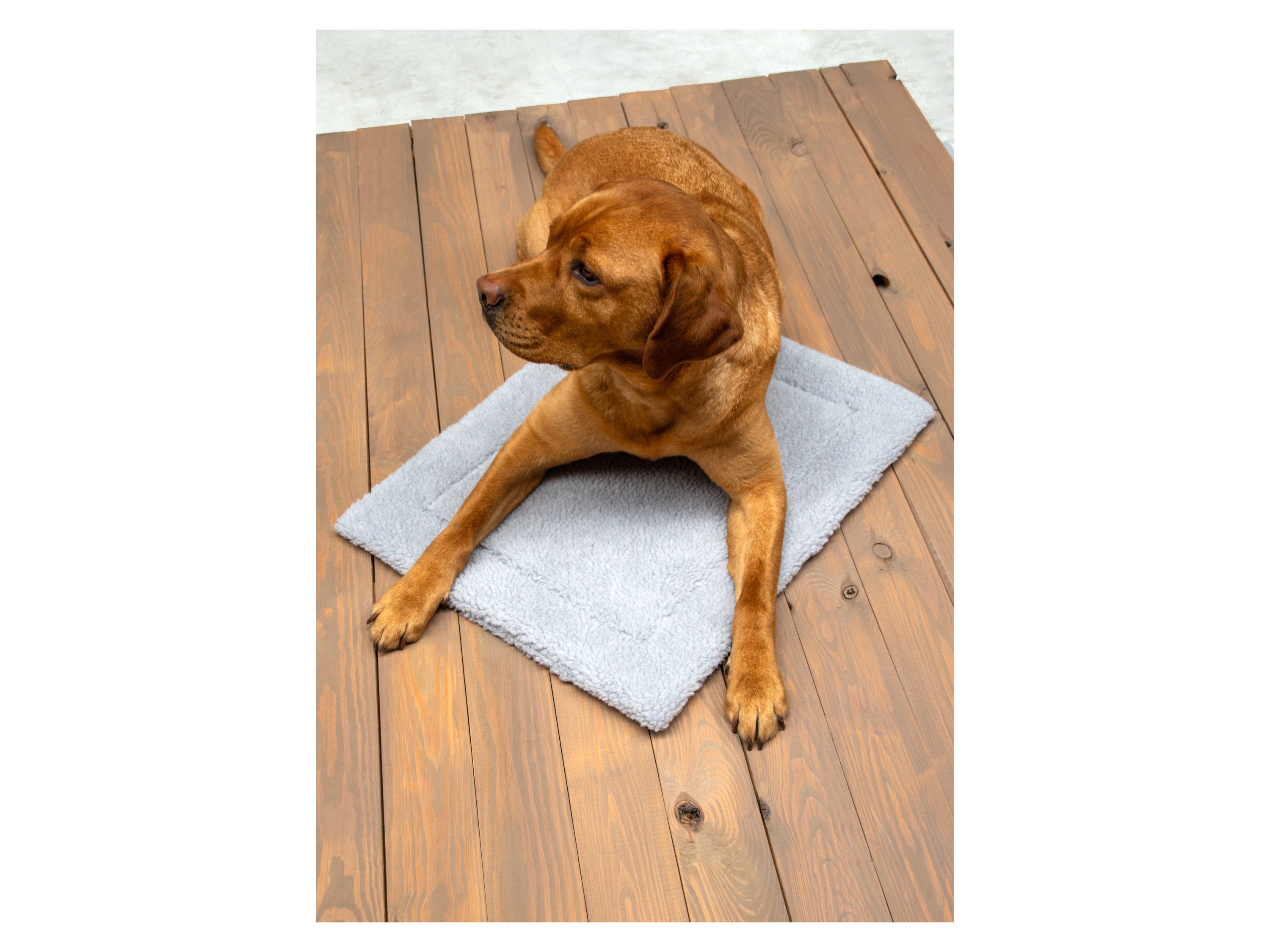 Karlie Mata grzewcza dla zwierząt, samonagrzewająca się Jasnoszary