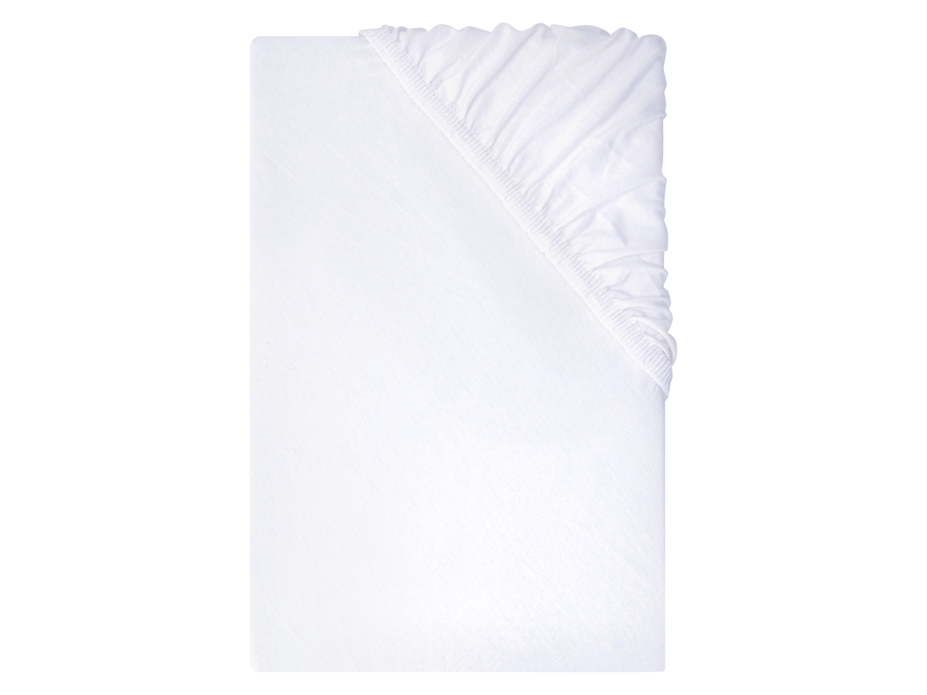 Livarno Prześcieradło dżersejowe z bawełny z gumką Biały