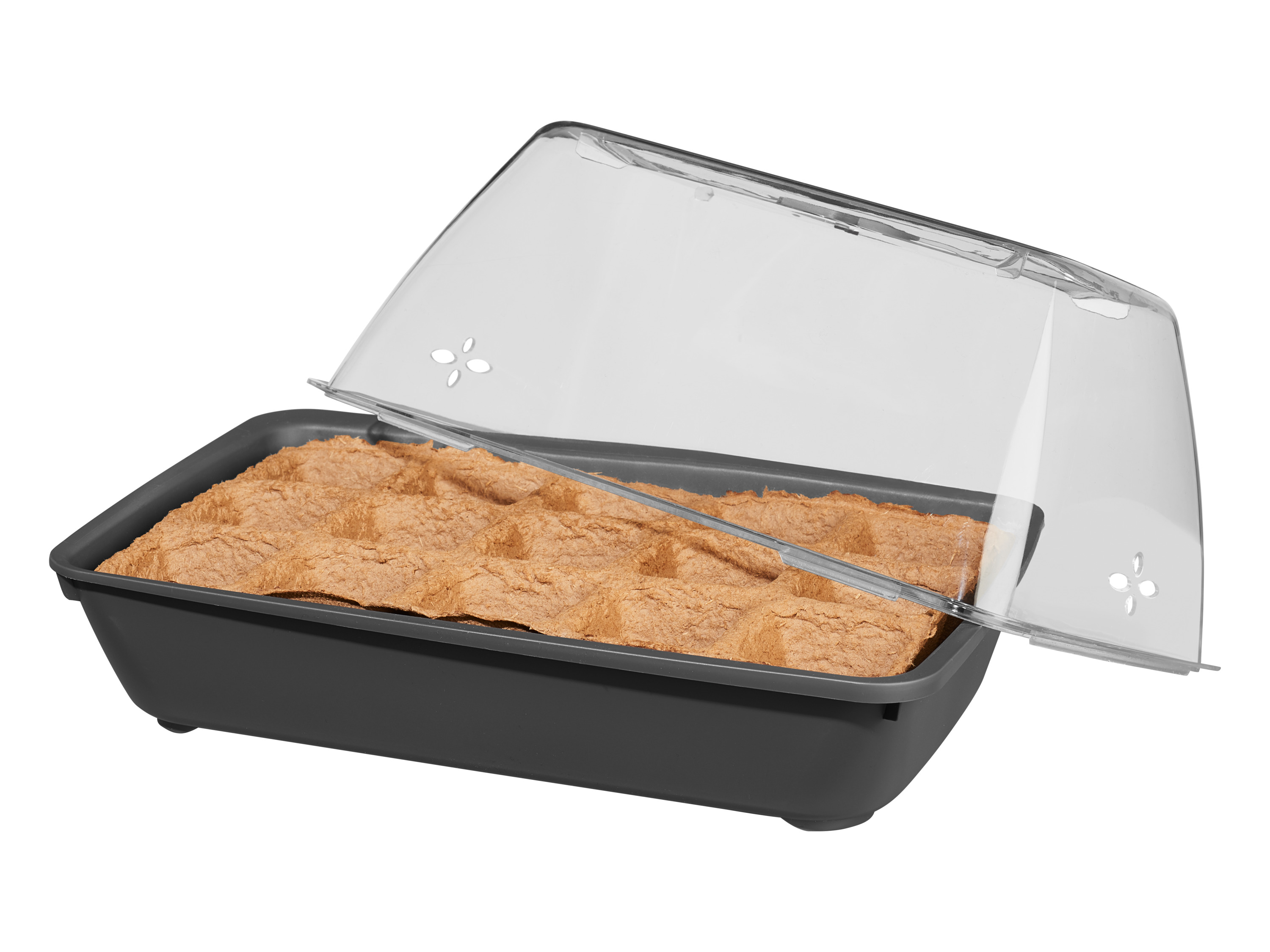 Parkside Miniszklarnia z nasionami bio Warzywa bio