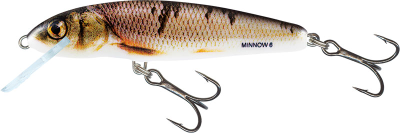 Salmo Wobler Minnow 7cm Pływający Wounded Dace