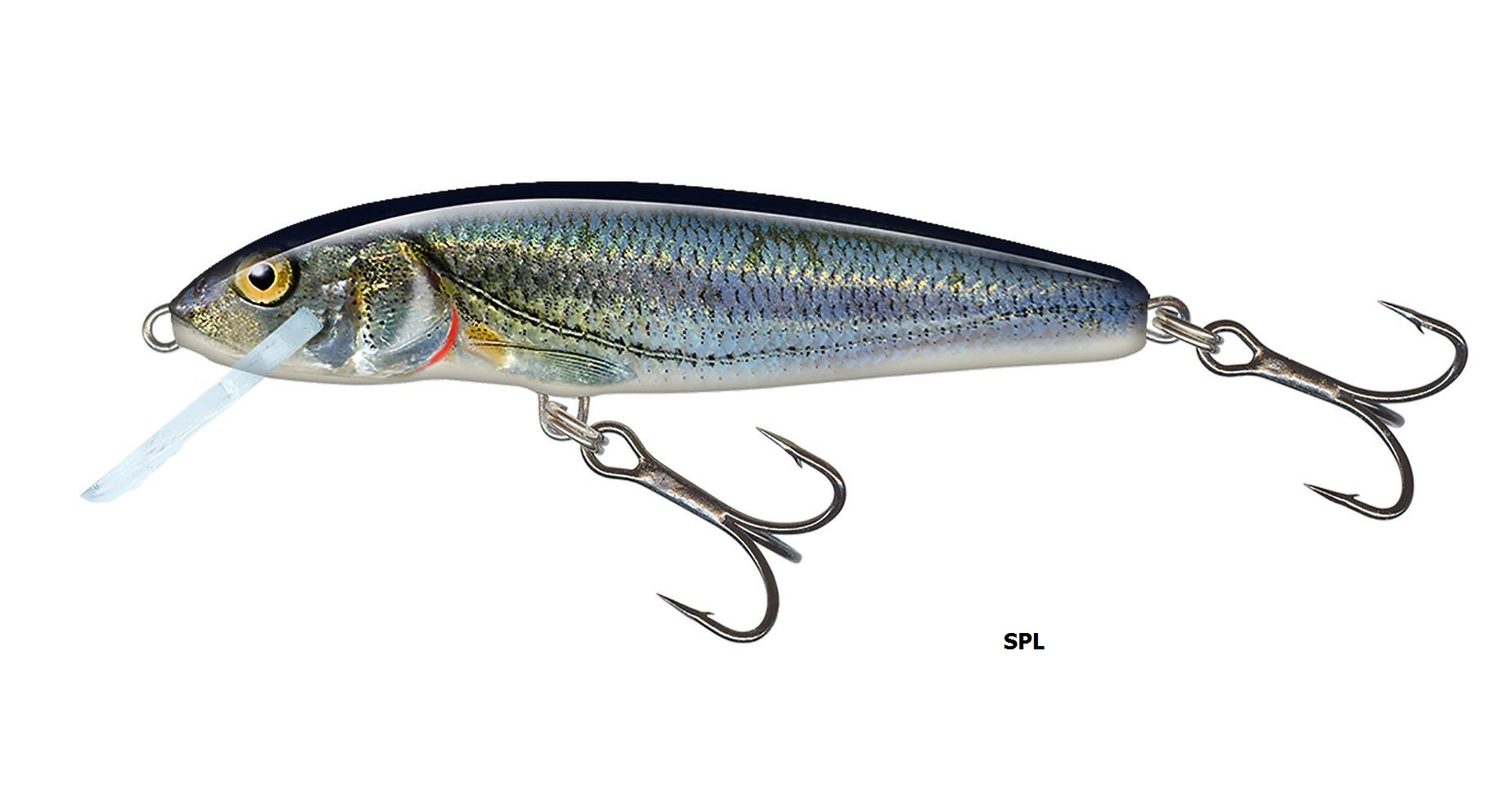 Salmo Wobler Minnow 7cm Tonący SPL