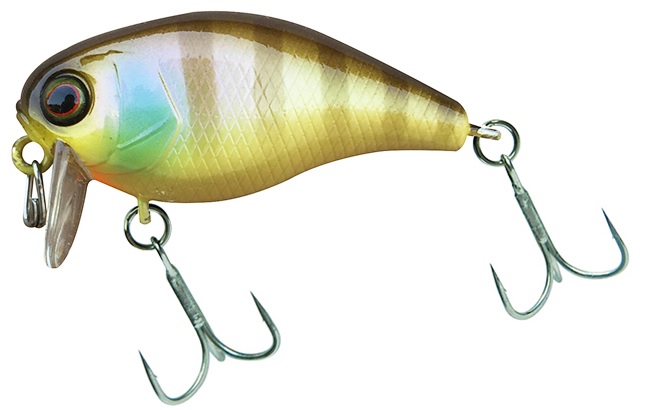 JACKALL wobler Chubby SSR 38F Noike Gill