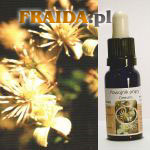 Powojnik pnący - Rzeczywistość