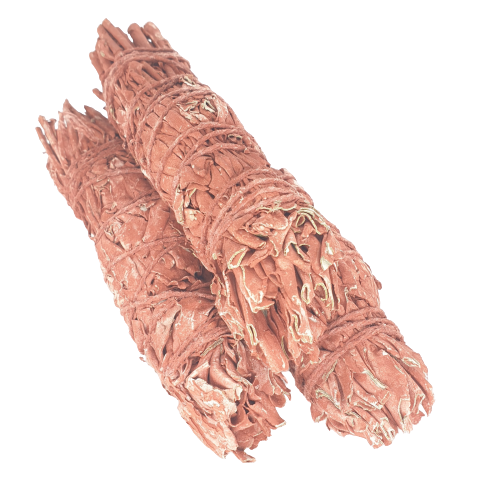 Biała szałwia smocza krew (pęk mały)