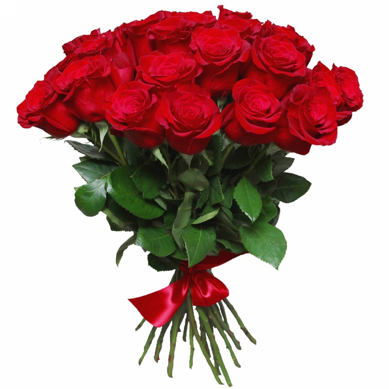 Czerwone róże z dostawą - Poczta bukietowa - Kwiaciarnia internetowa - E-Kwiaty