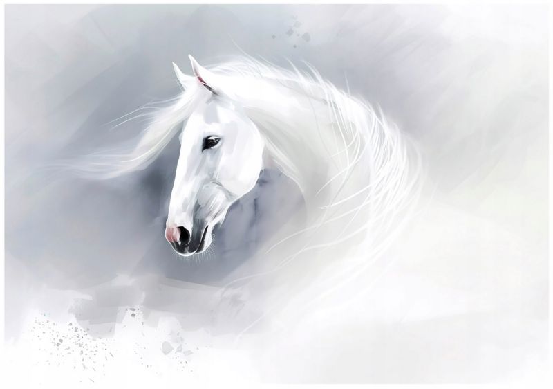 Fototapeta WALLARENA Dla Dzieci Winylowa Koń Abstrakcja Zwierzęta Szary 416x254 cm 15974WVZXXXL 1 szt.